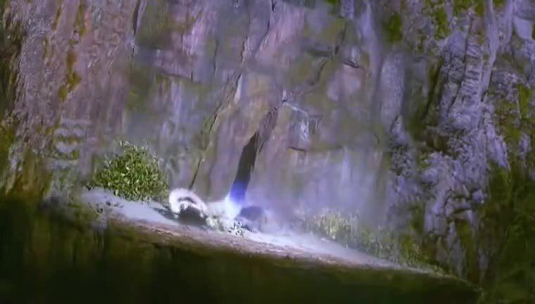 给我一个QQ号